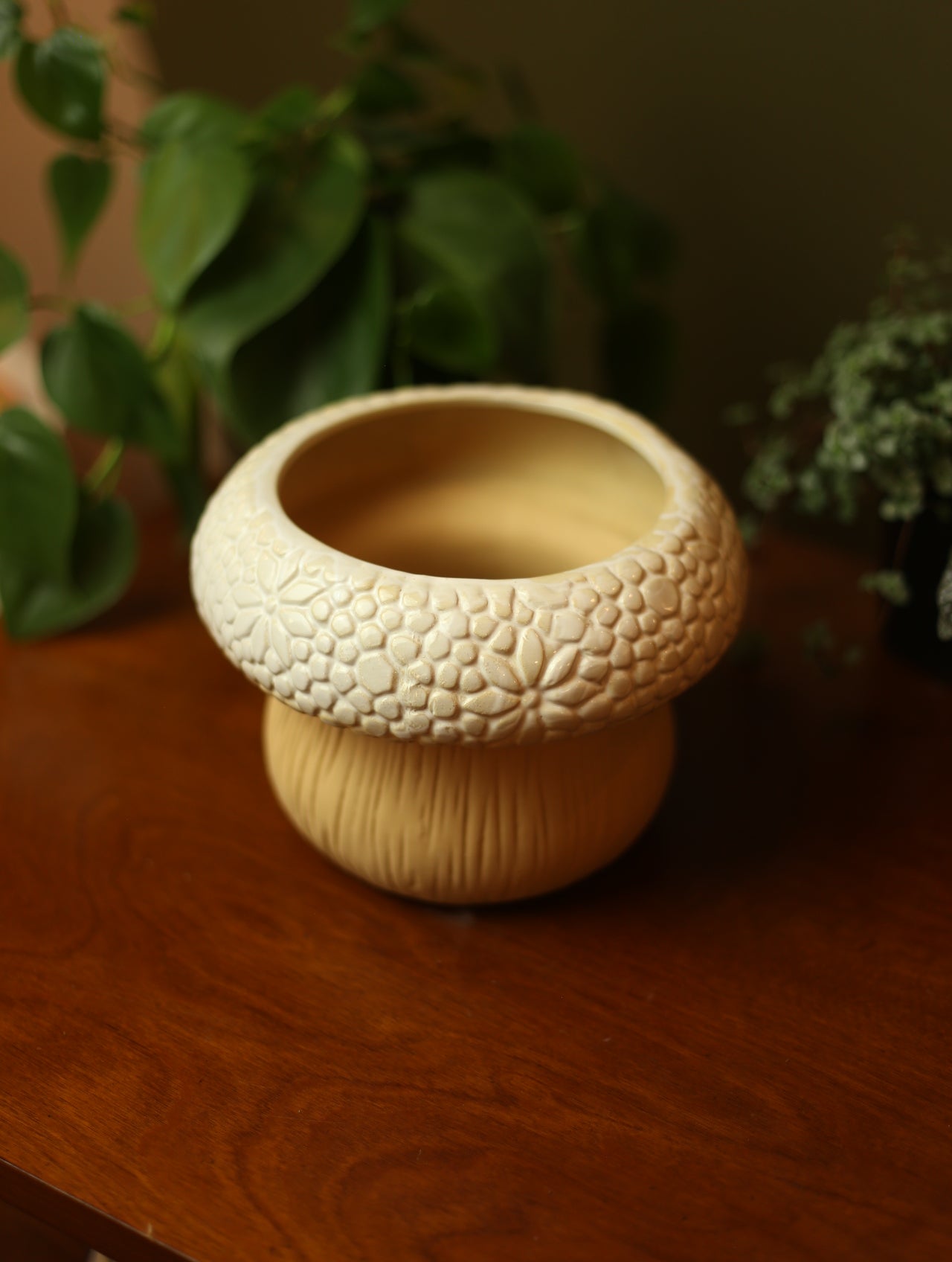 Mushroom Planter