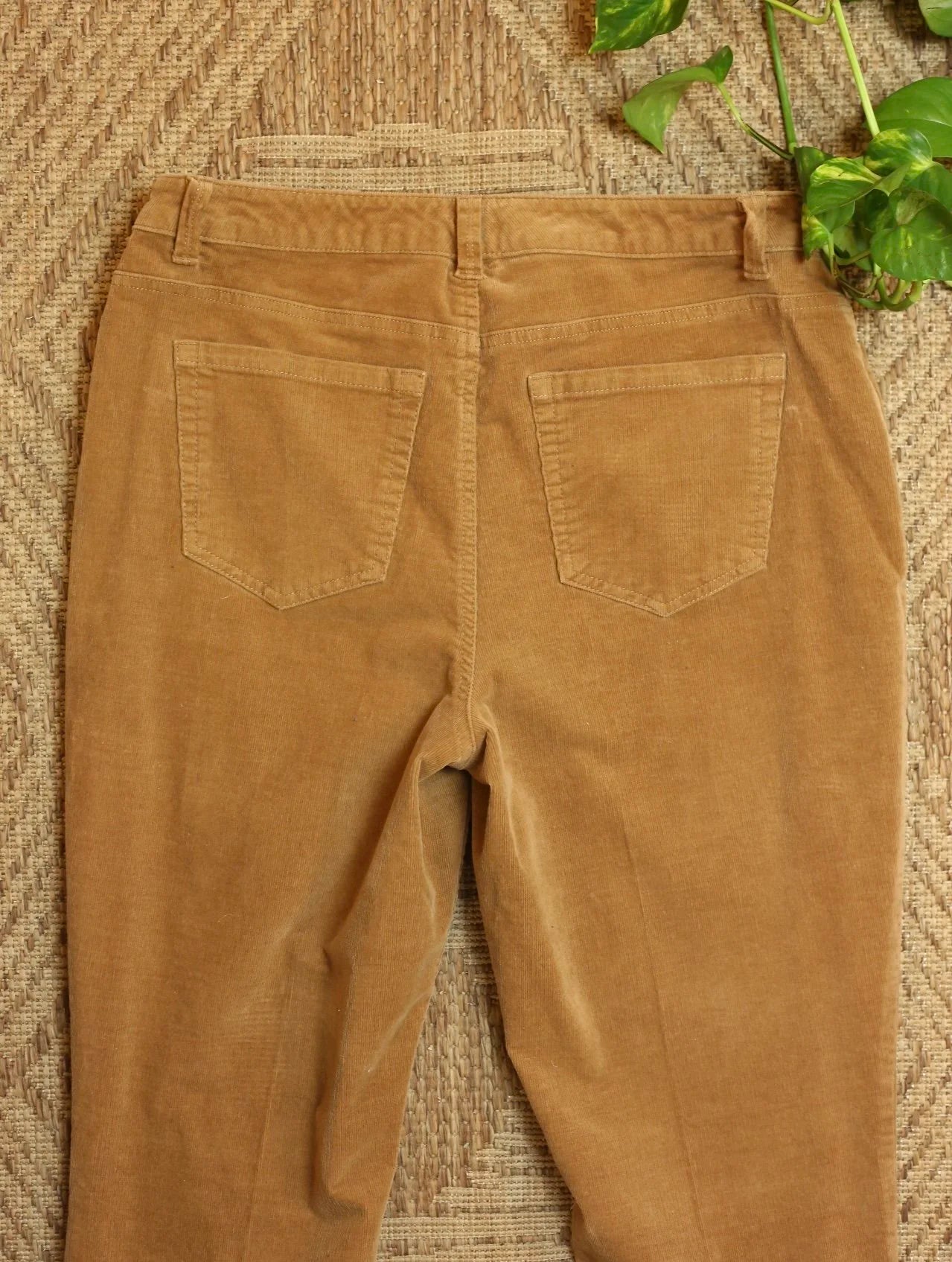 Tan Corduroy Pants