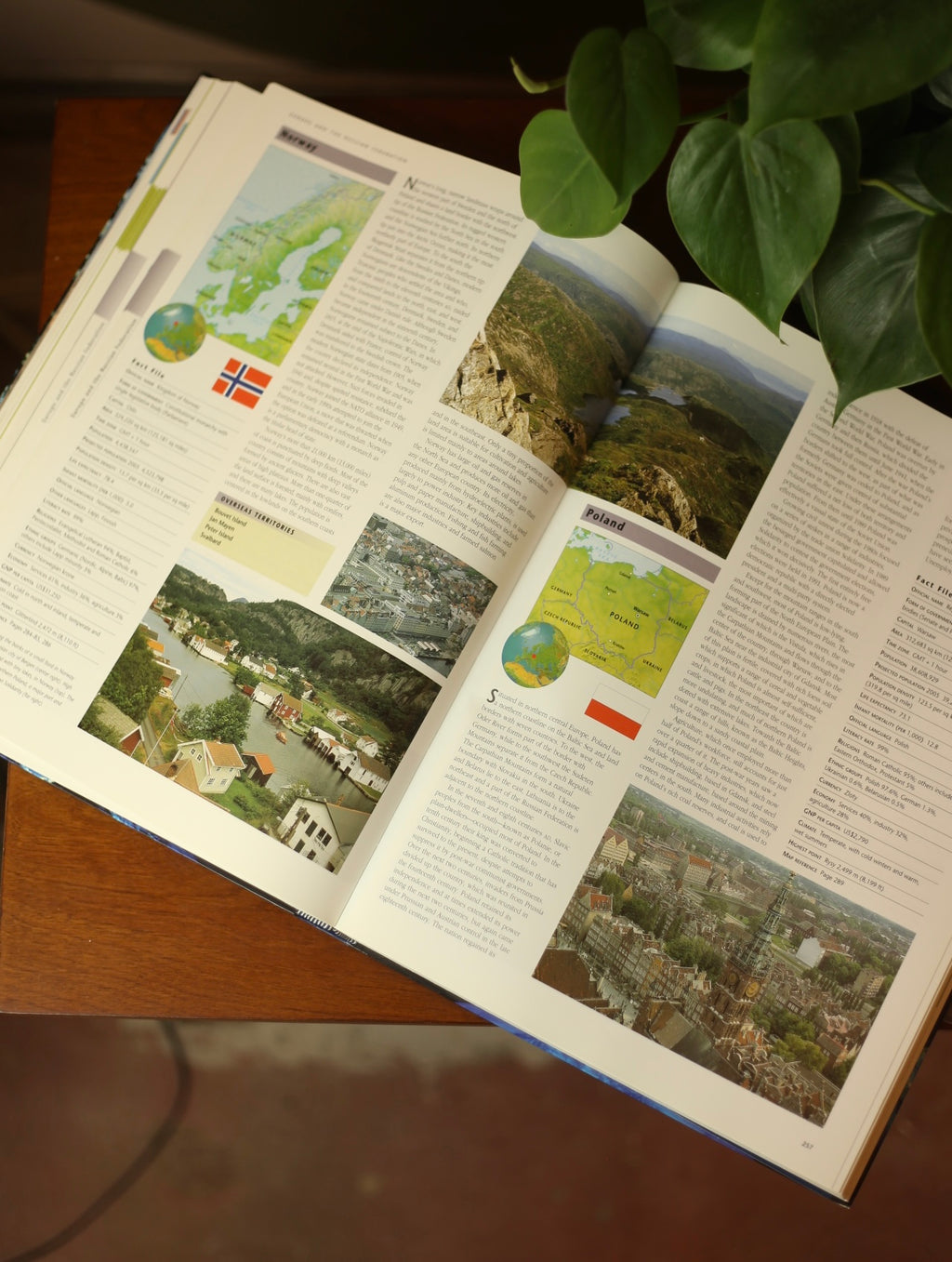 Geographica, The Complete Illustrated Atlas of the World