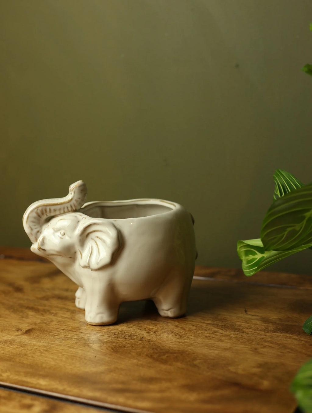 Elephant Plant Pot 3.25"