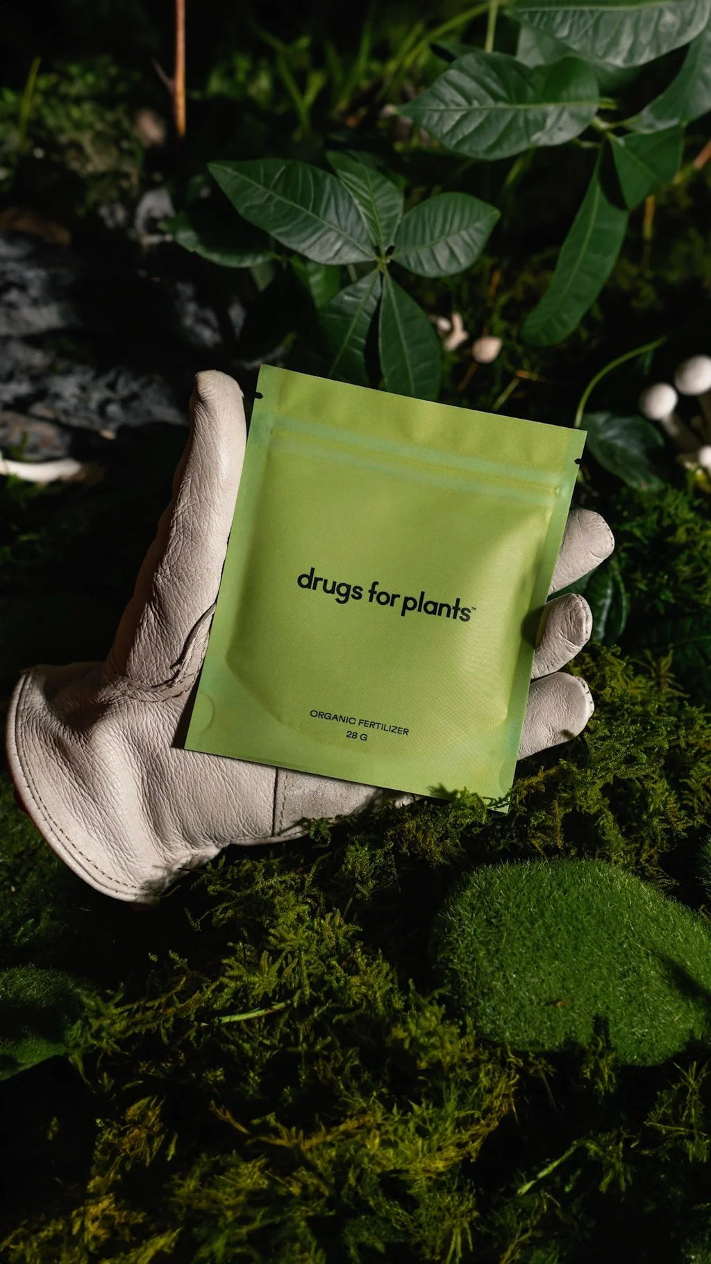 Drugs for Plants