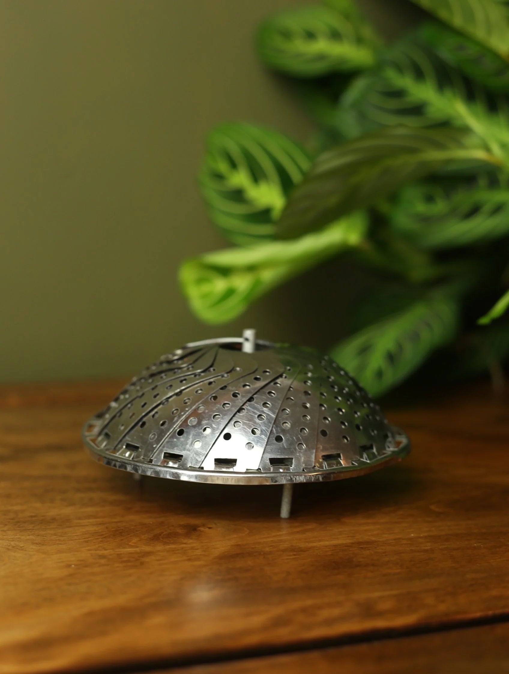 Stainless Steel Vegetable Steamer