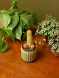 Sage Green Plant Pot - 2.75 inch