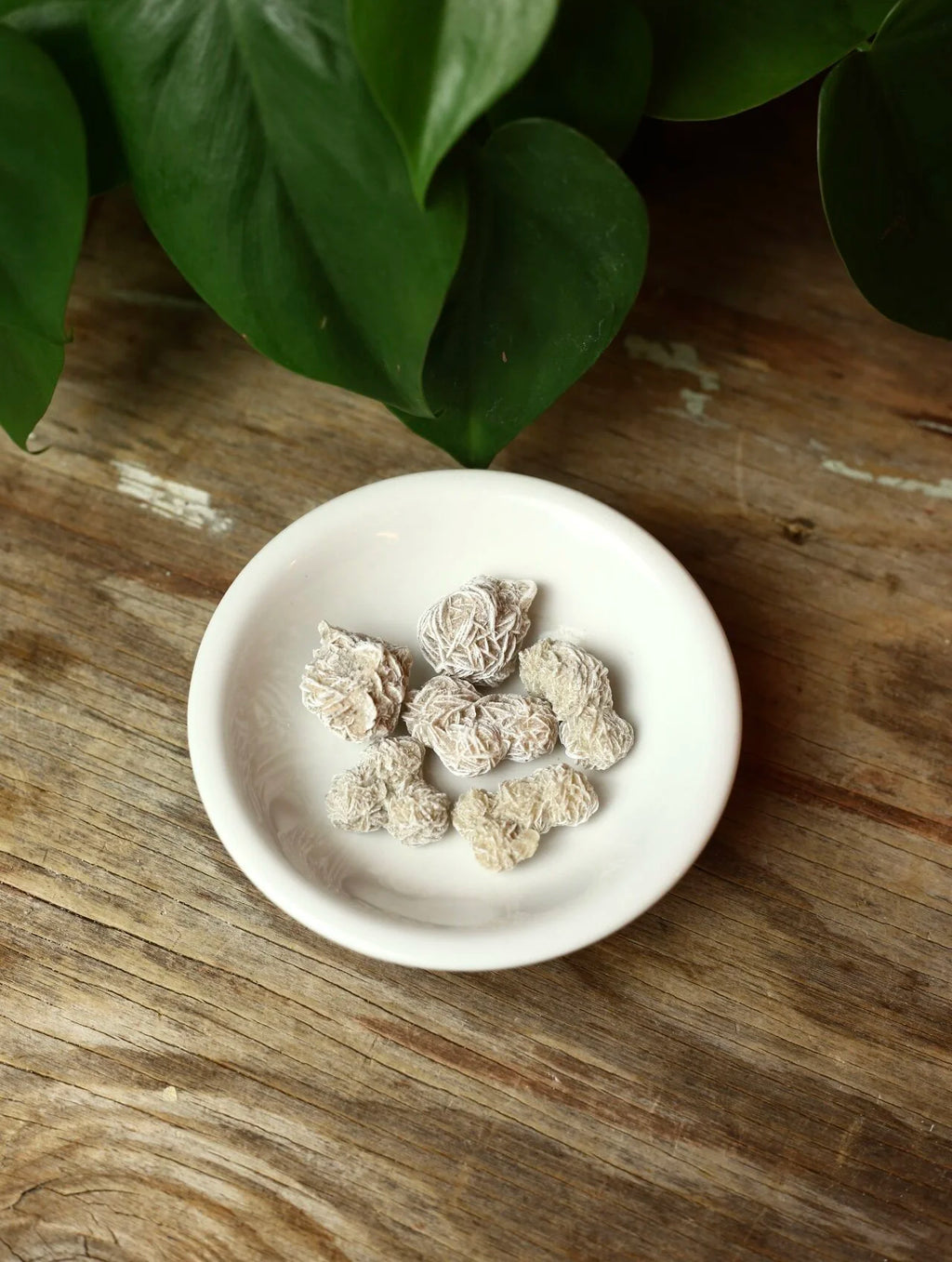 Selenite Desert Rose Stone