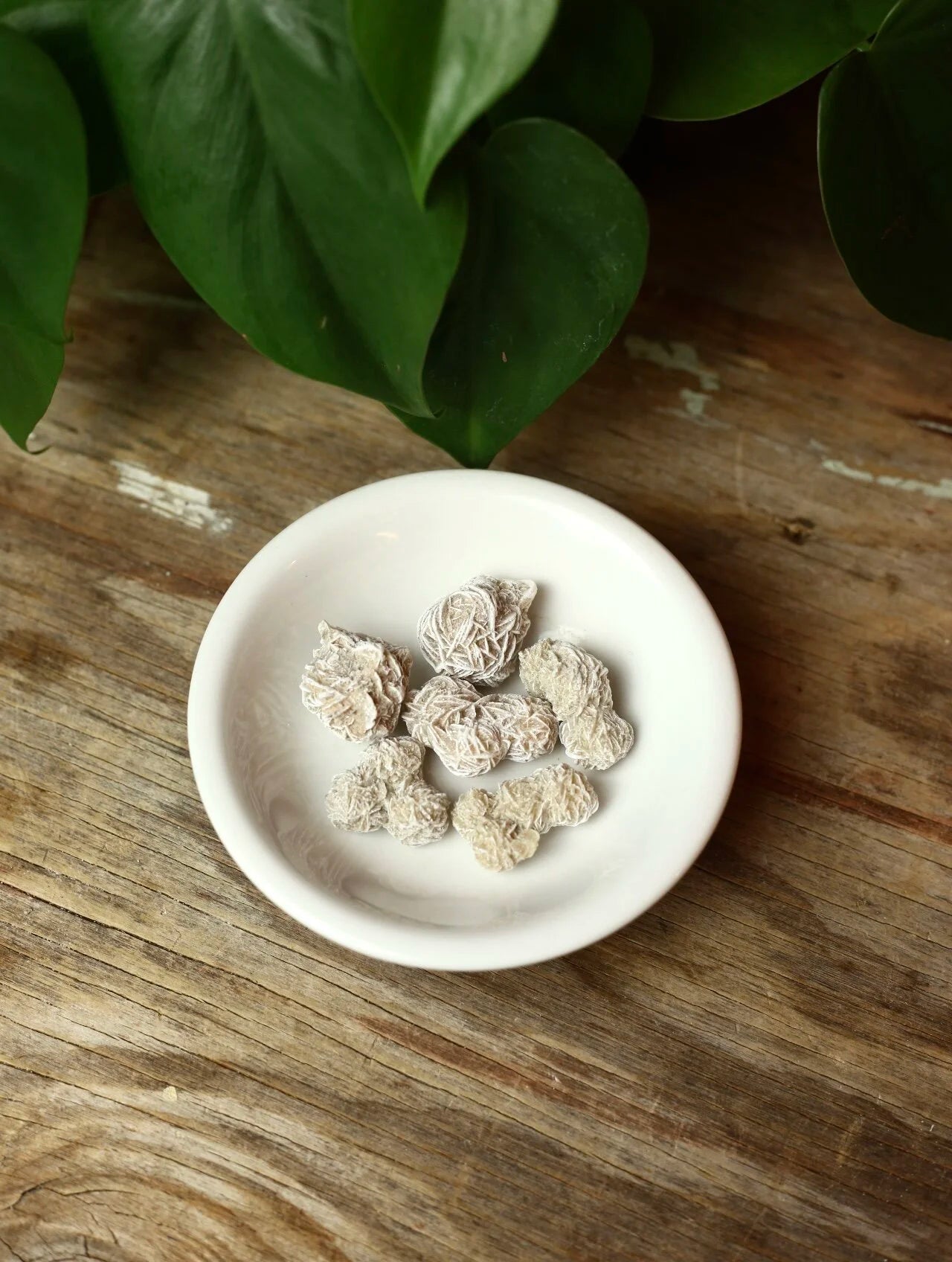Selenite Desert Rose Stone