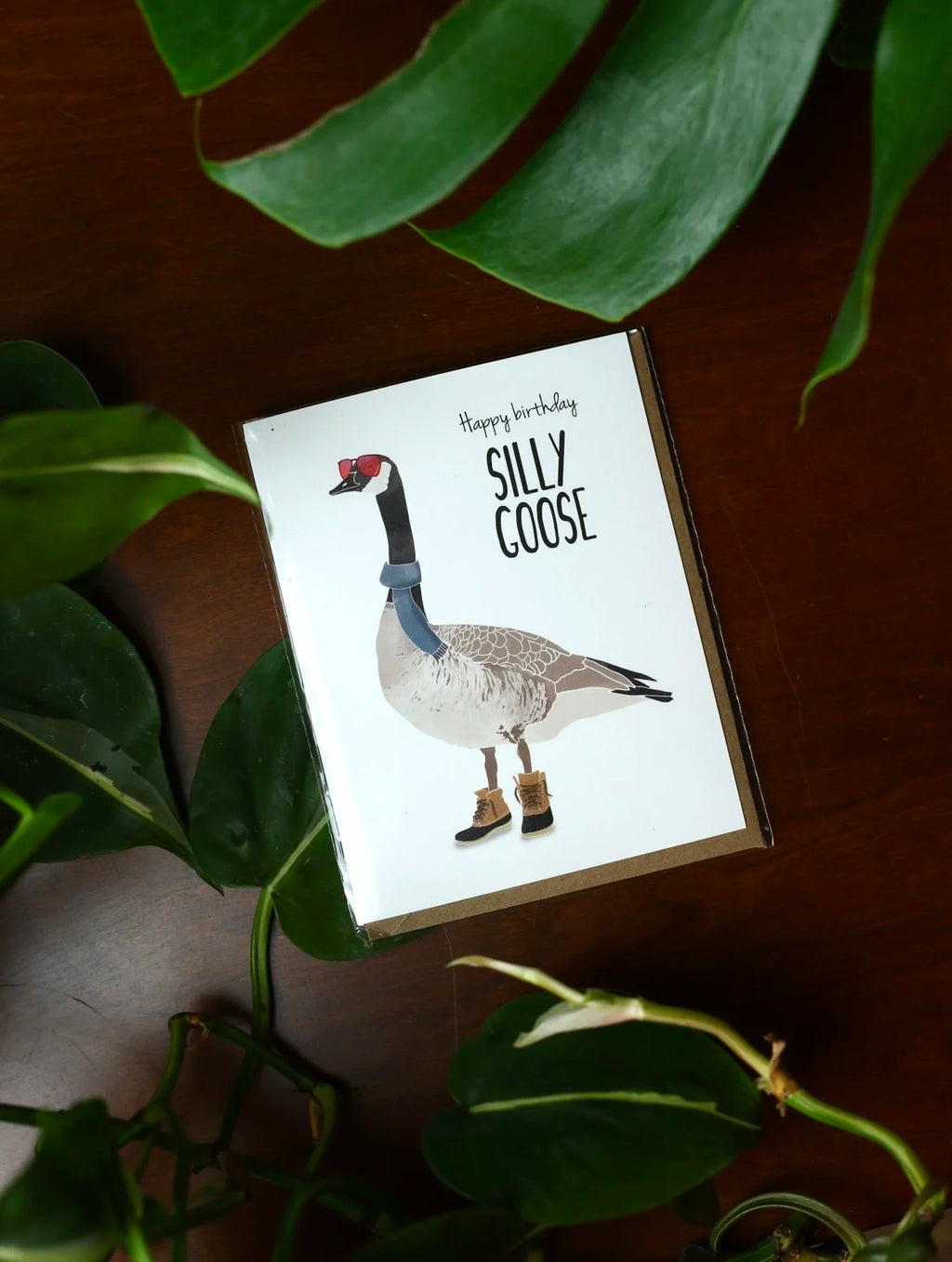 Happy Birthday Silly Goose Card