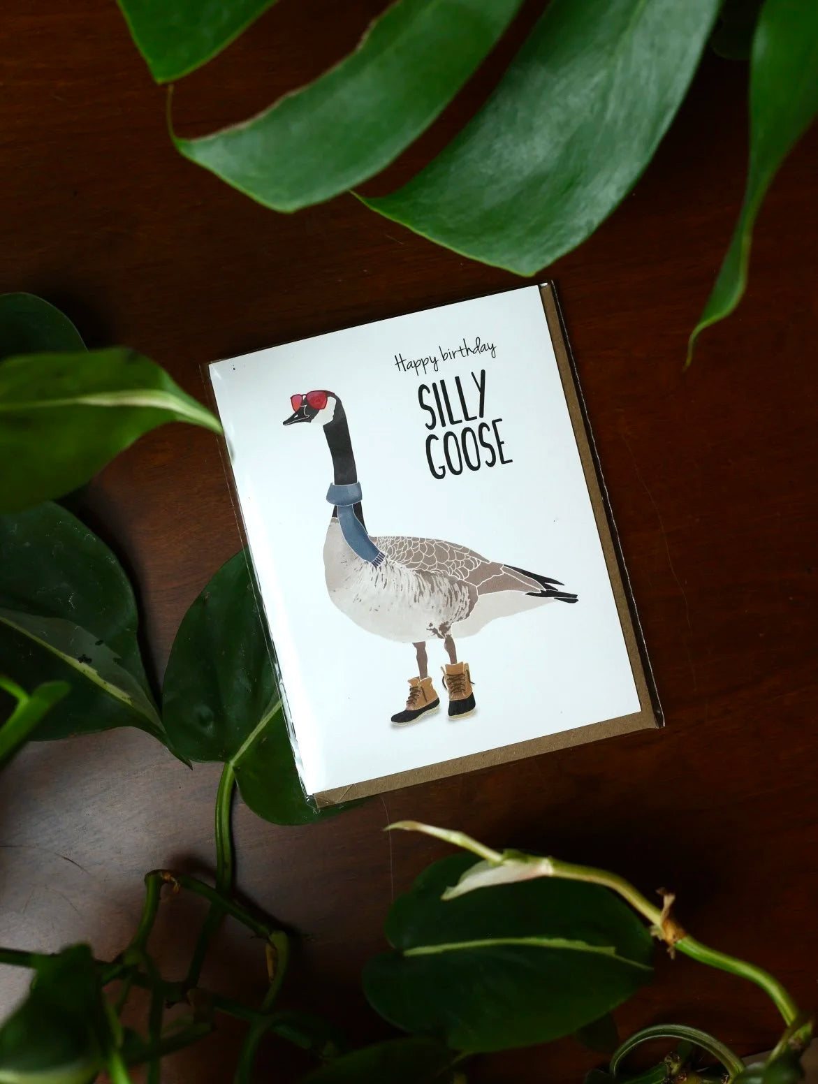 Happy Birthday Silly Goose Card