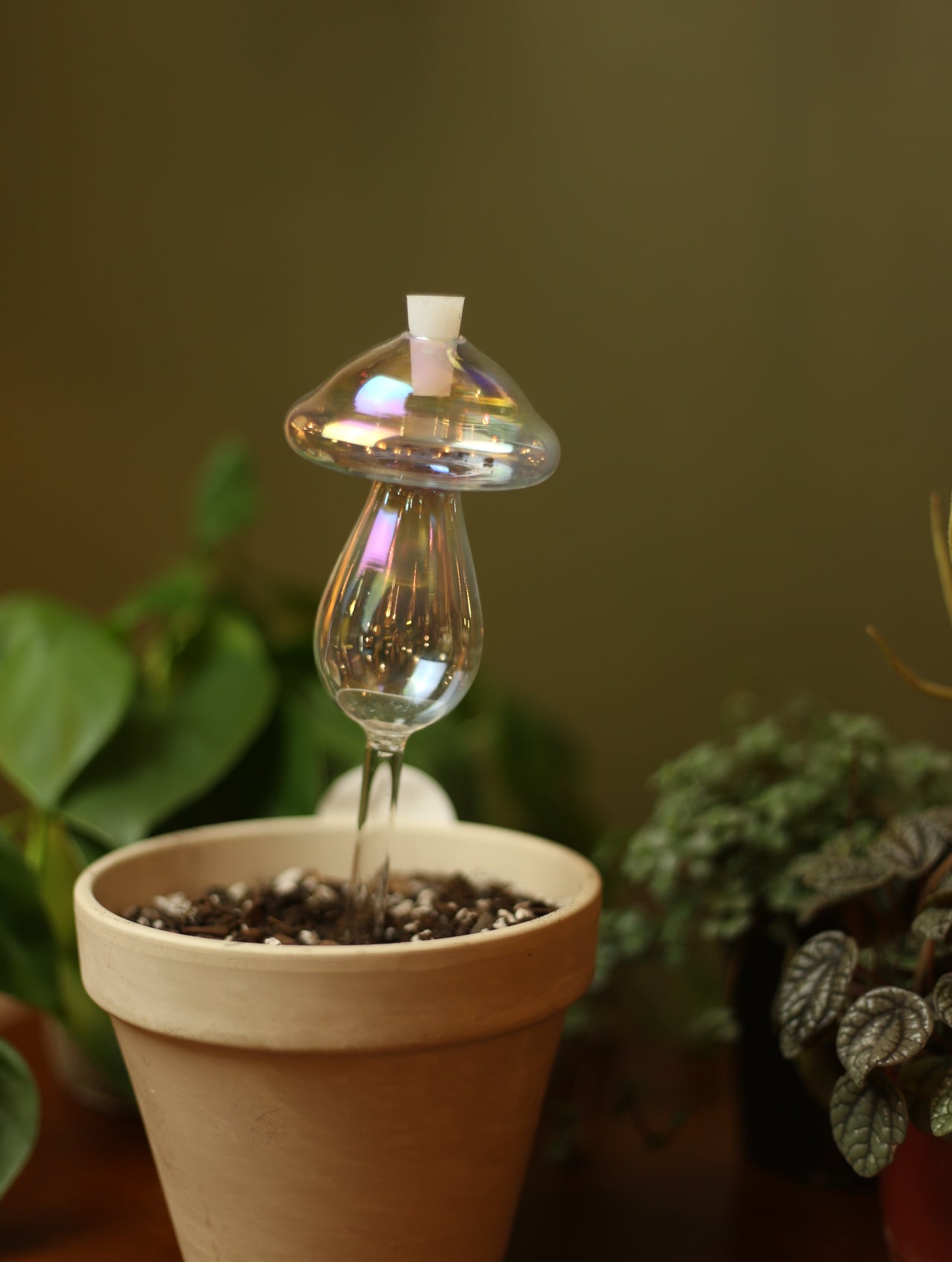 Iridescent Mushroom Plant Watering Globe