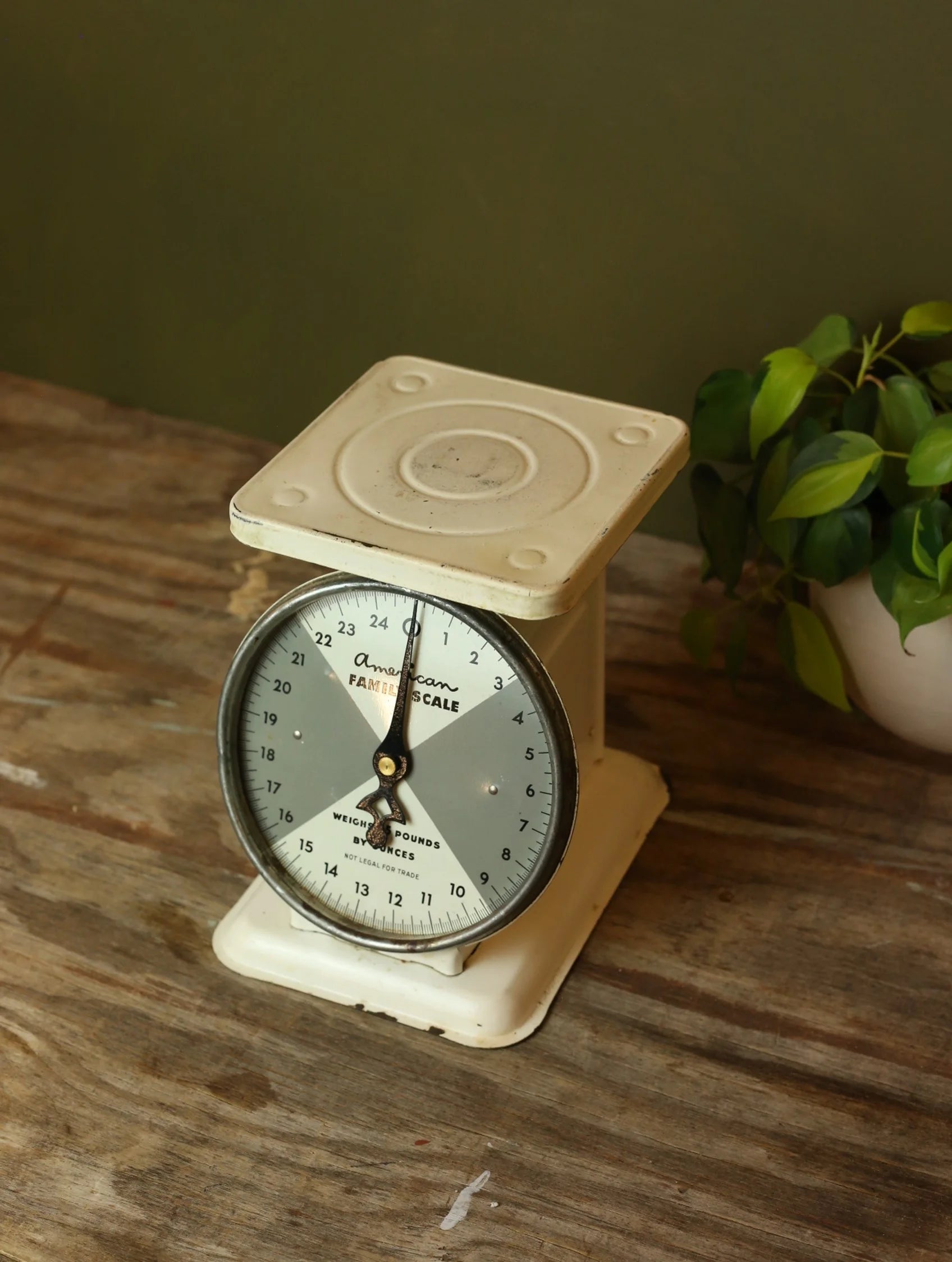 Vintage American Family Scale