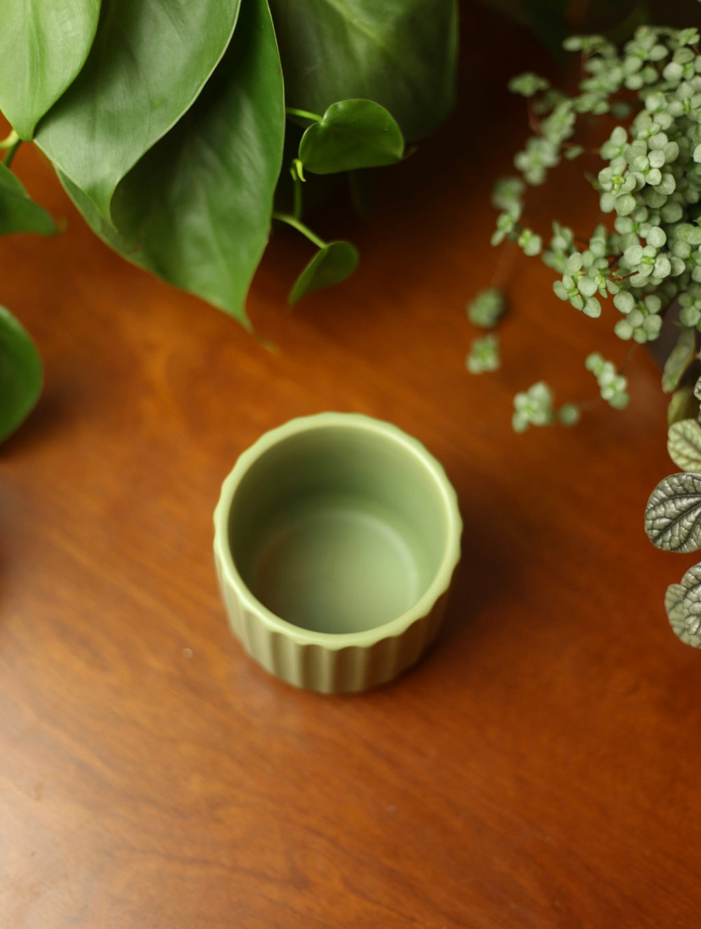 Sage Green Plant Pot - 2.75 inch