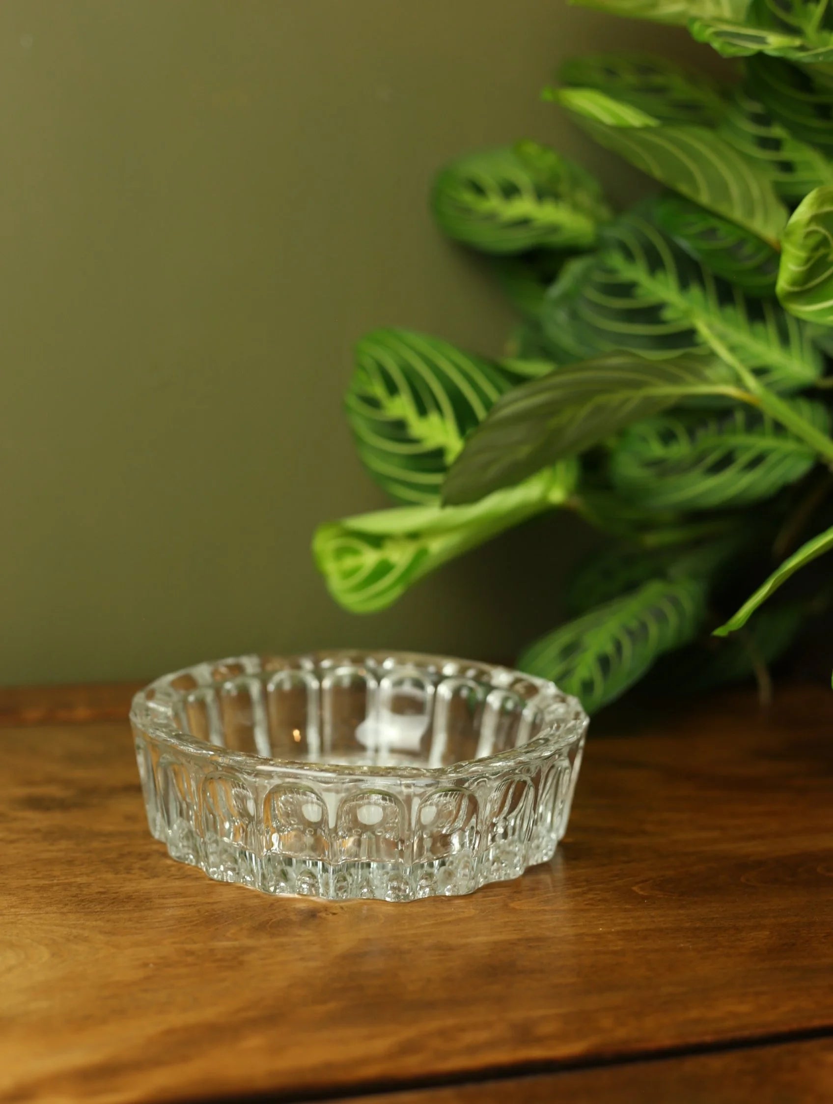 Bubble Glass Bowl