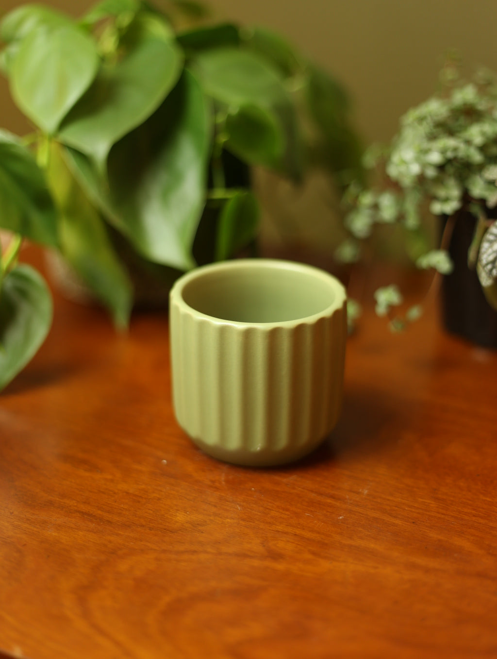 Sage Green Plant Pot - 2.75 inch