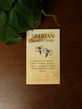 Siberian Wallflower Seeds