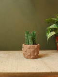 Raised Checkered Plant Pot - 3 inch