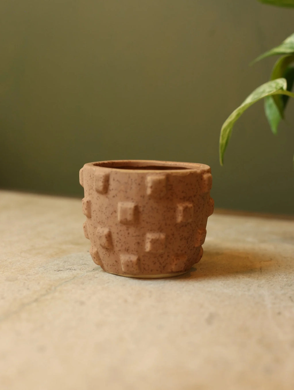 Raised Checkered Plant Pot - 3 inch