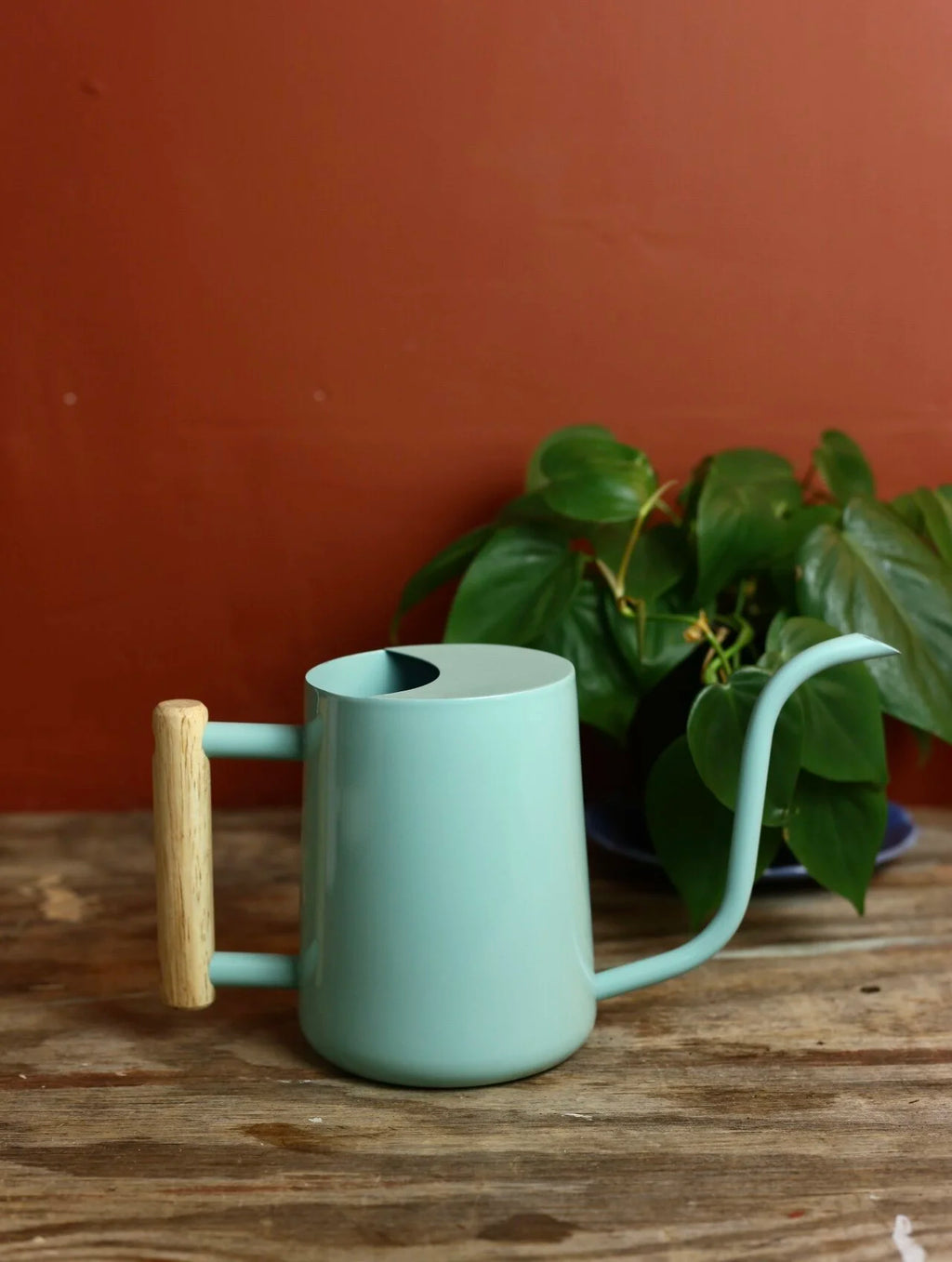 Metal Watering Can