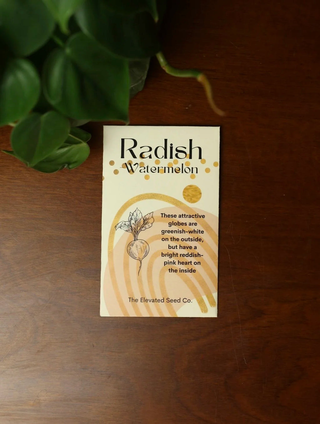 Radish Seeds