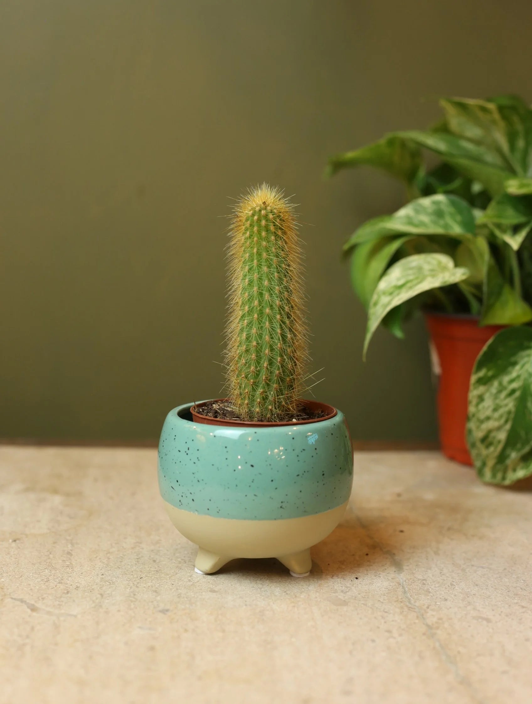 Teal Glazed Three Footed Plant Pot - 3 inch