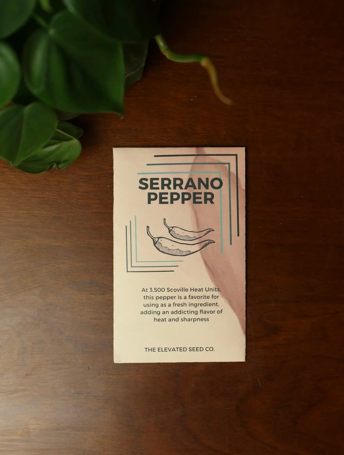Serrano Hot Pepper Garden Seeds