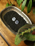 Blue & White Plaid Stud Clip On Earrings