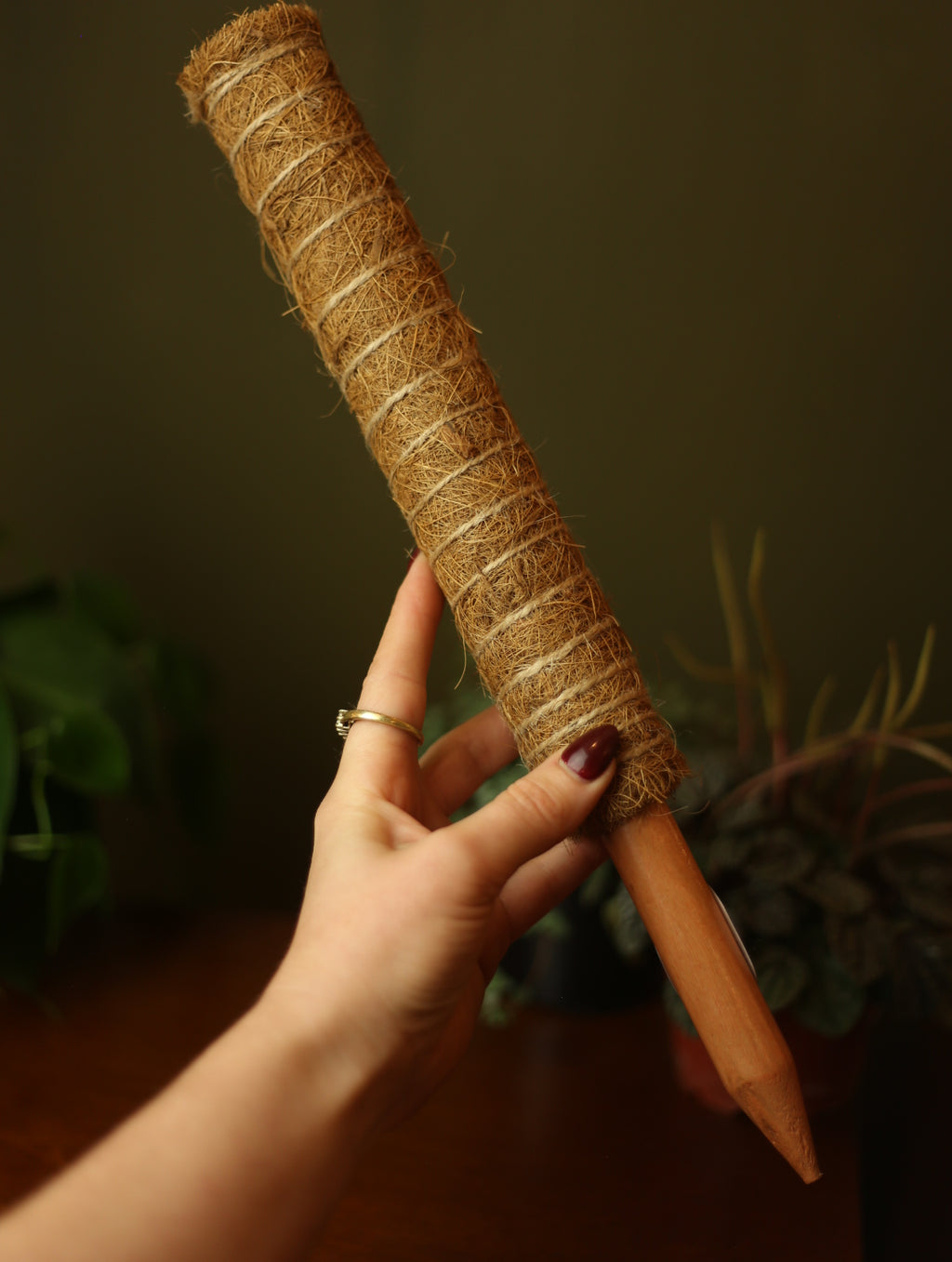Stackable Coco Coir Plant Pole