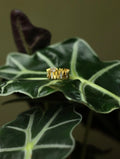 Crown Gold Tone & Rhinestone Ring - Size 7