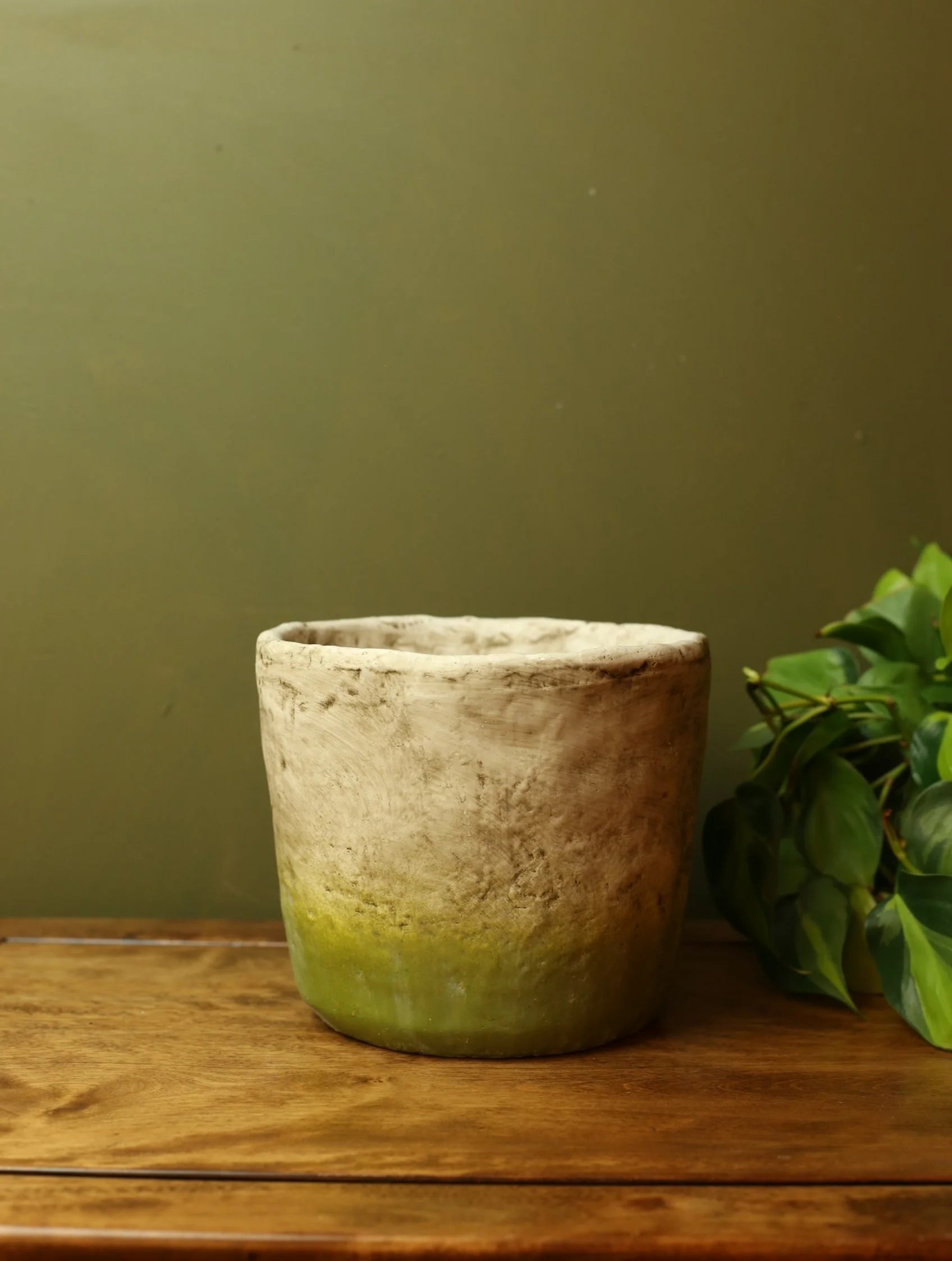 Mossy Plant Pot - Varying Sizes