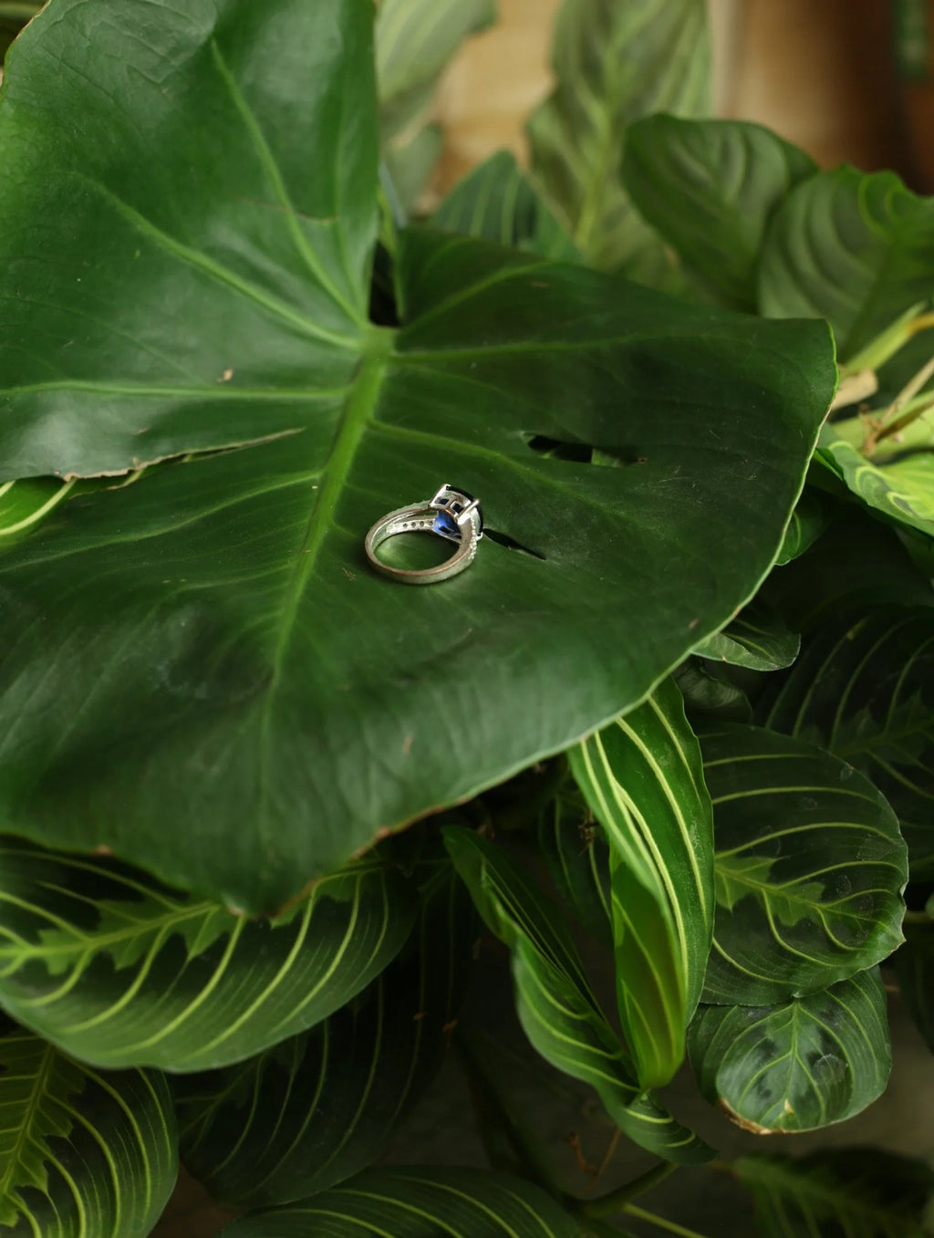 Blue Gem Silvertone Ring - Size 8.5
