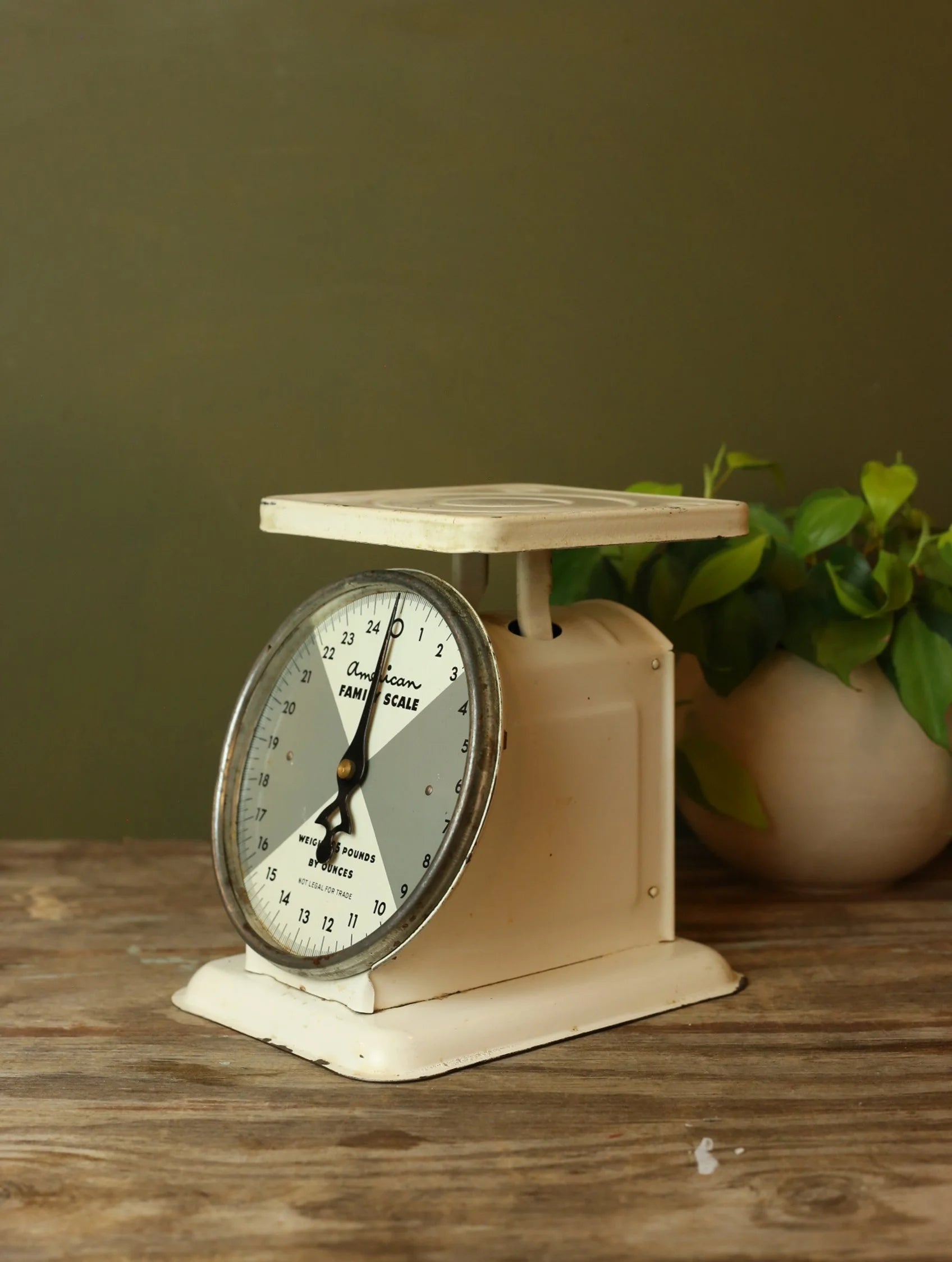 Vintage American Family Scale