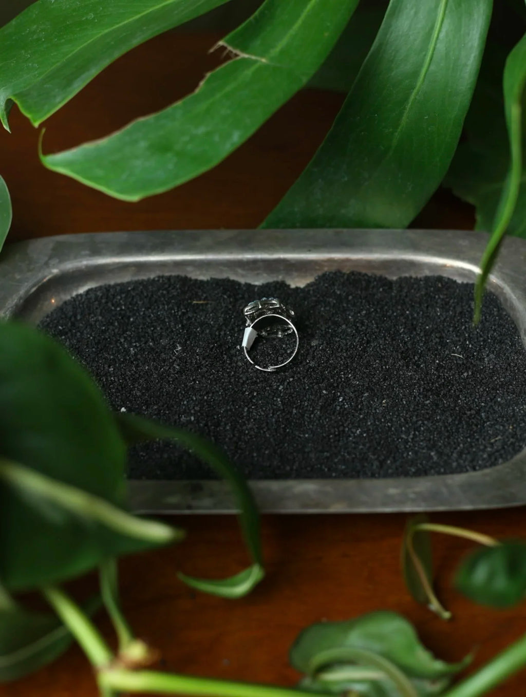 Blue Gem Shield Adjustable Ring