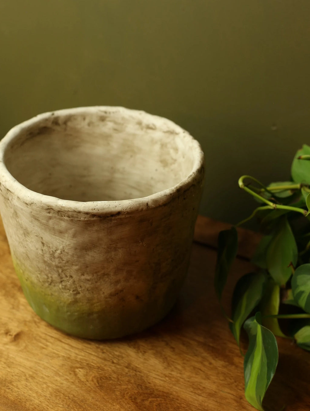 Mossy Plant Pot - Varying Sizes