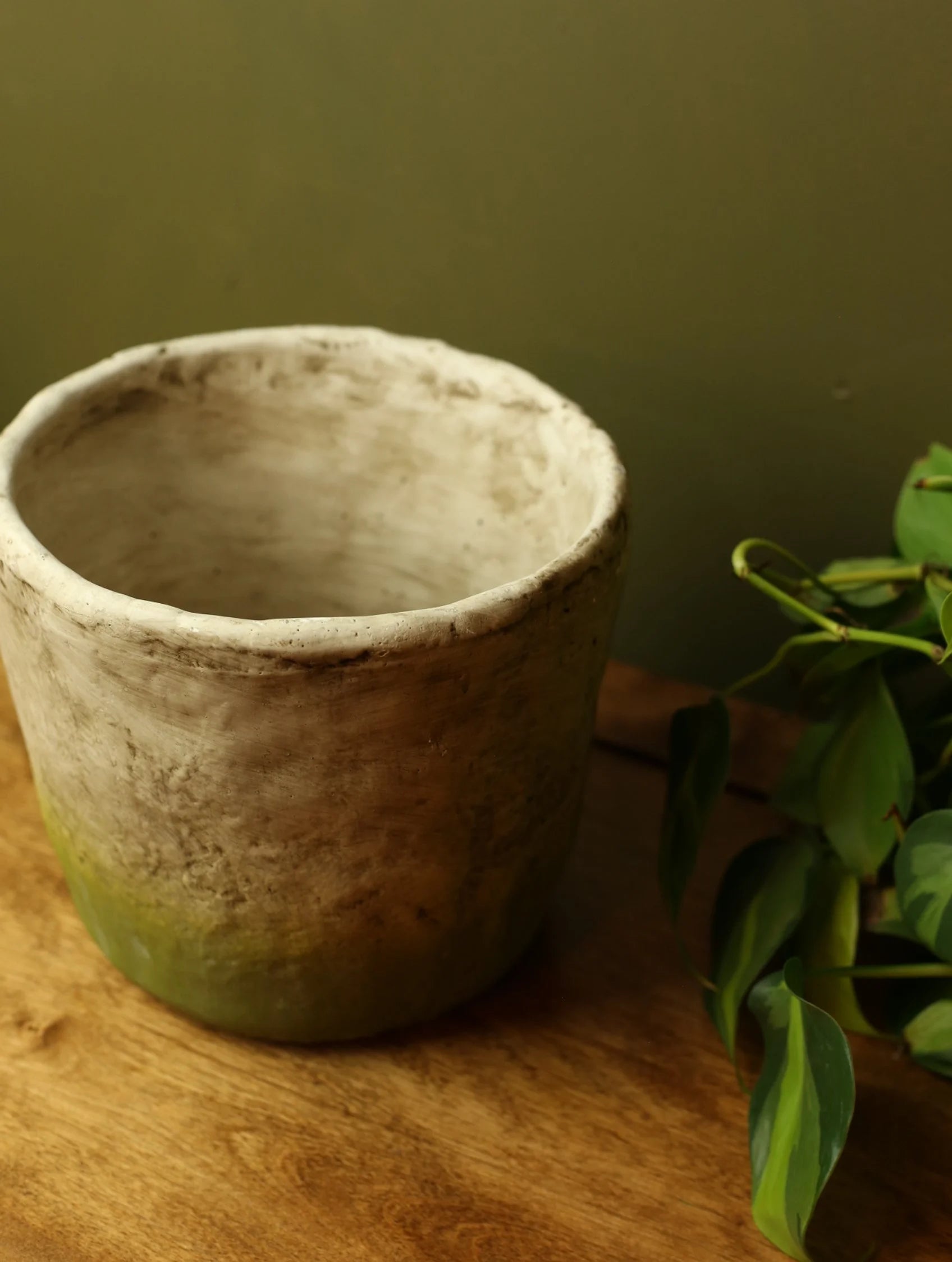 Mossy Plant Pot - Varying Sizes