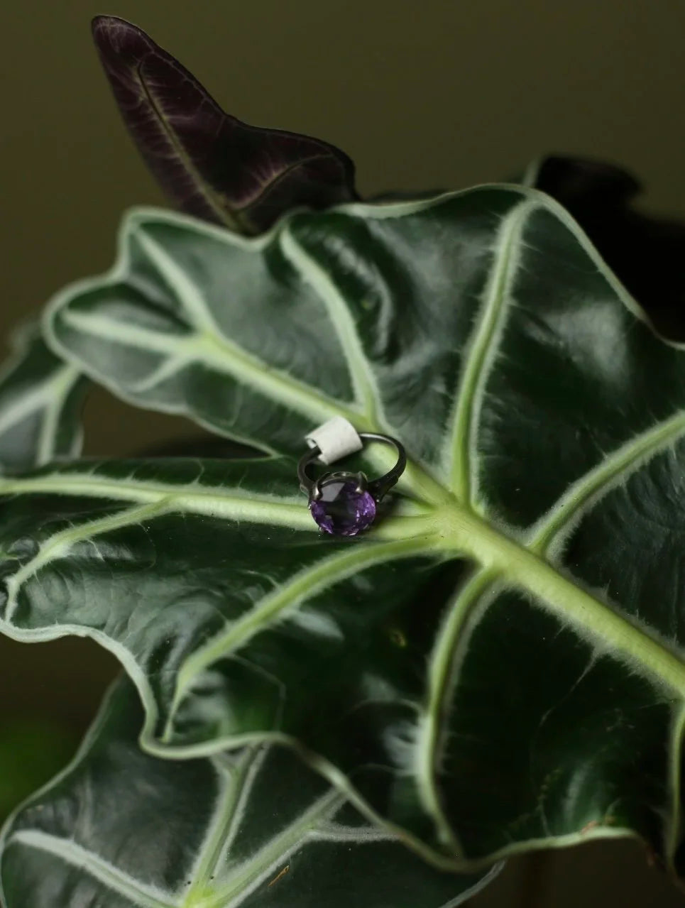 Amethyst Black Metal Ring - Size 6.5