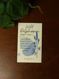 Wild Delphinium Flower Seeds