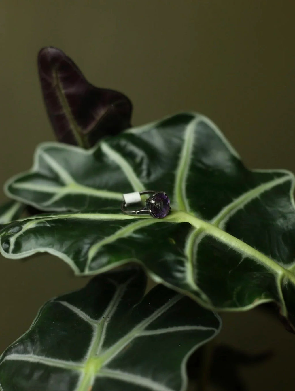 Amethyst Black Metal Ring - Size 6.5