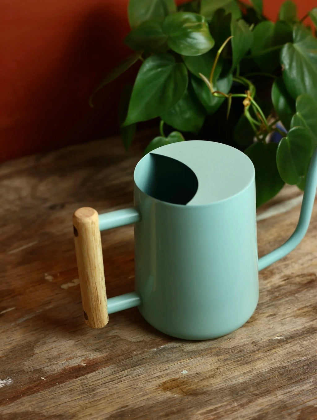 Metal Watering Can