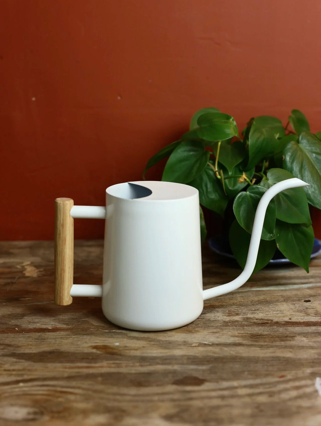 Metal Watering Can