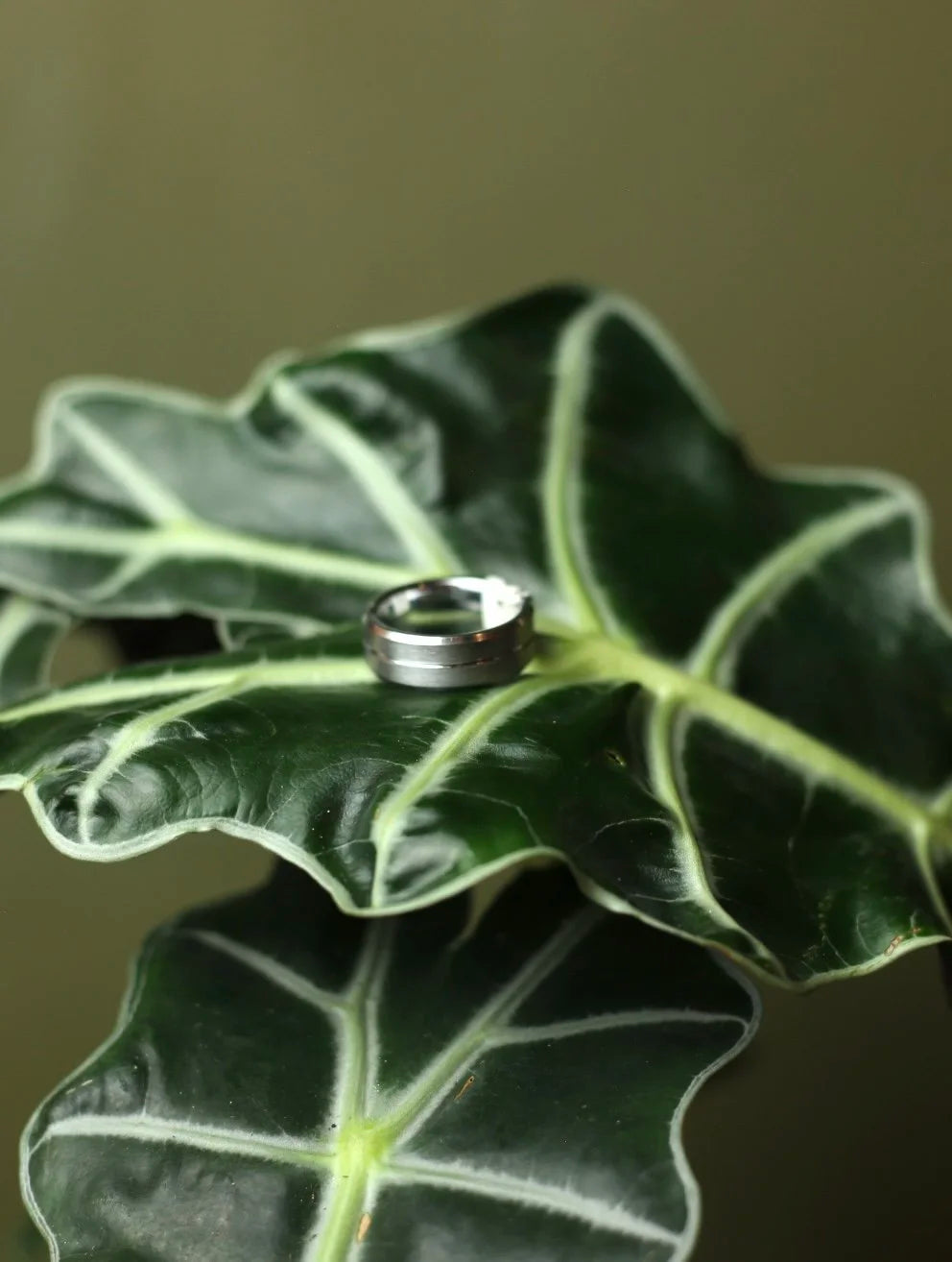 Tungsten Carbide Ring Band -Size 8.5