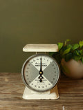 Vintage American Family Scale