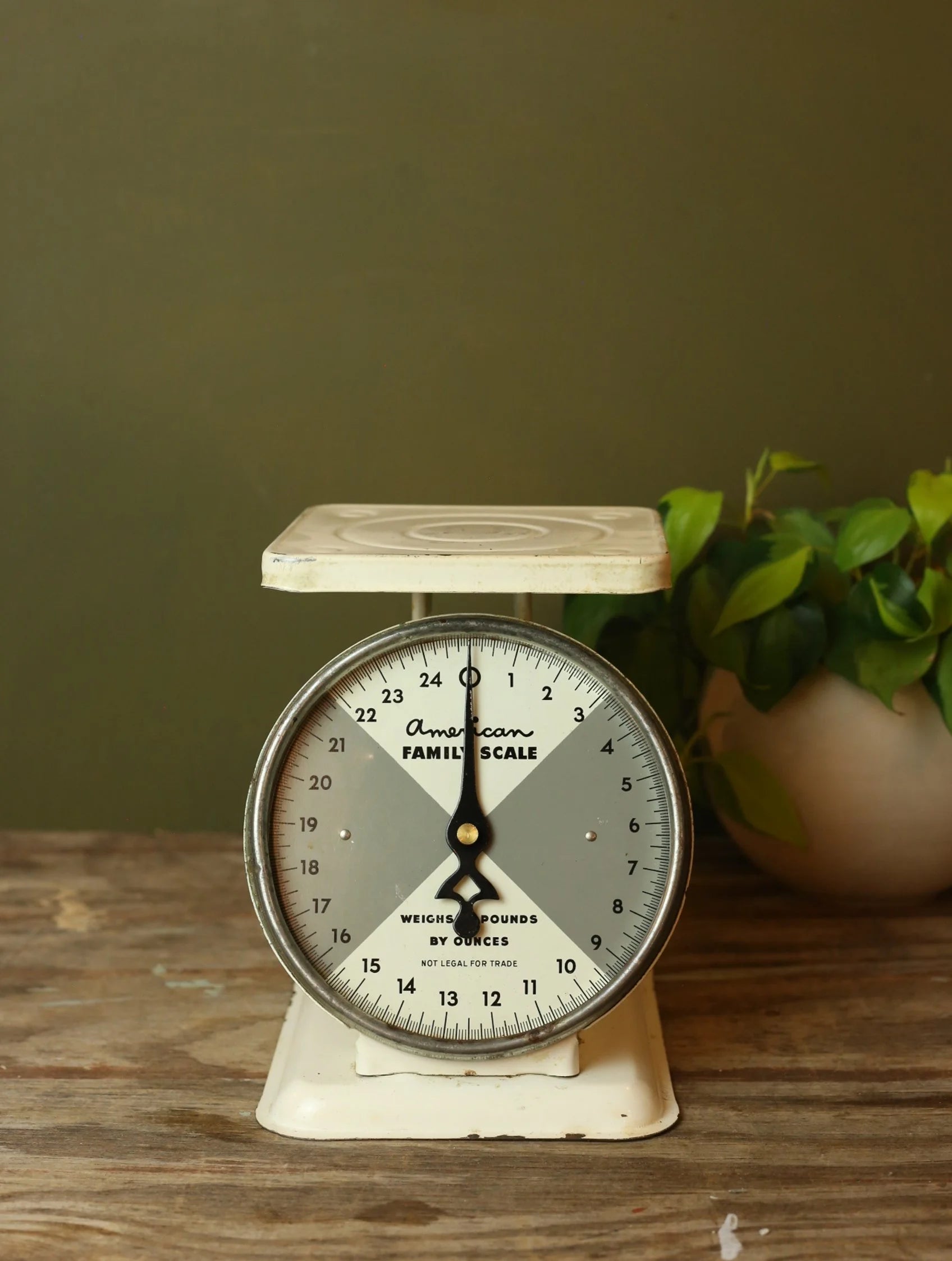 Vintage American Family Scale