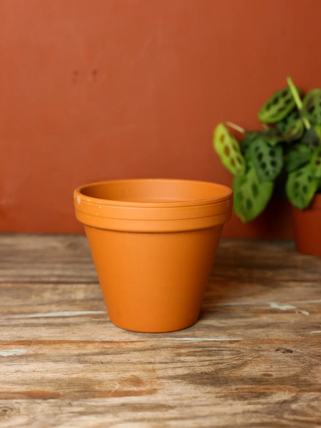 Terracotta Plant Pots In Various Sizes