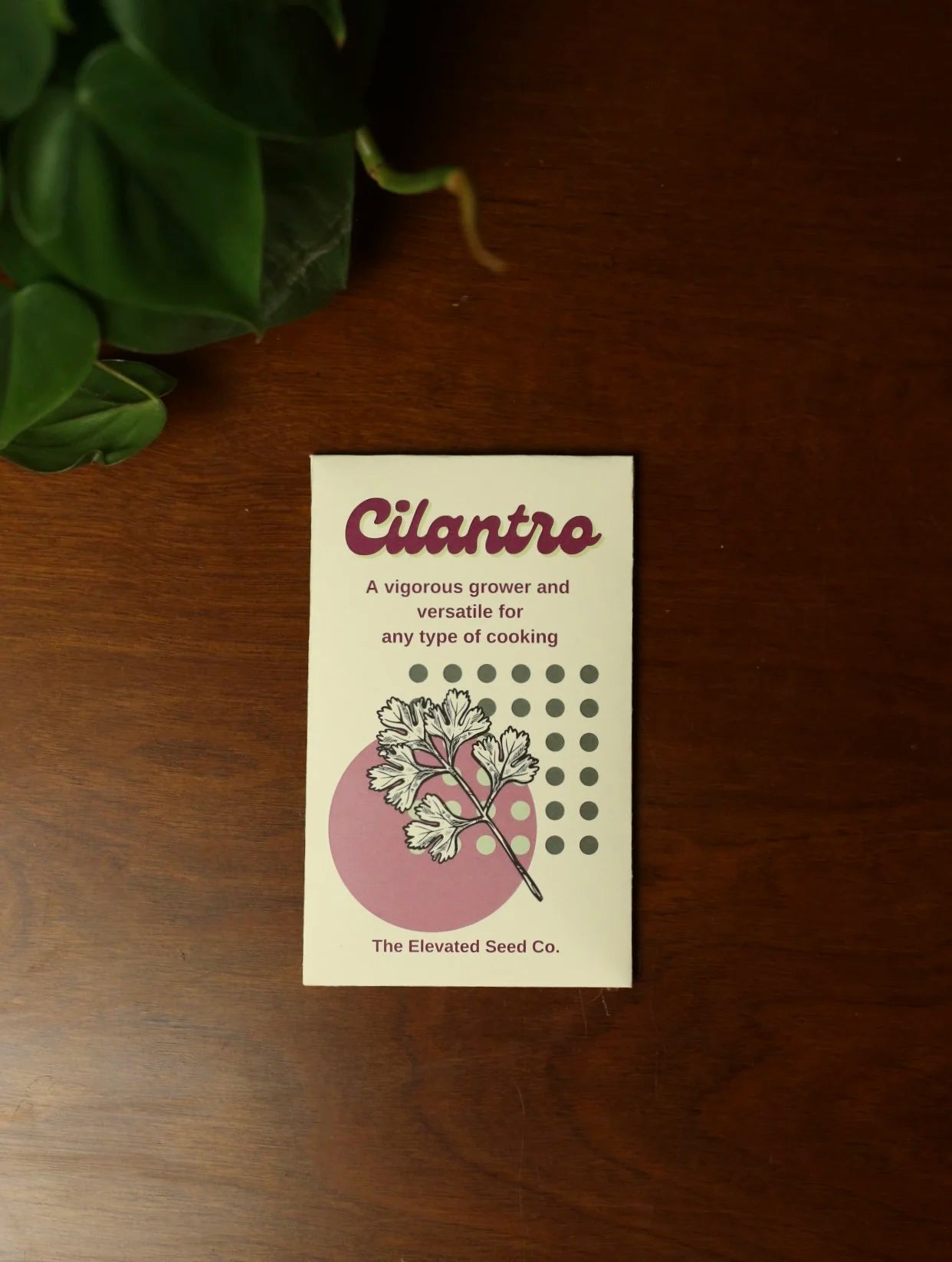 Cilantro Garden Seeds