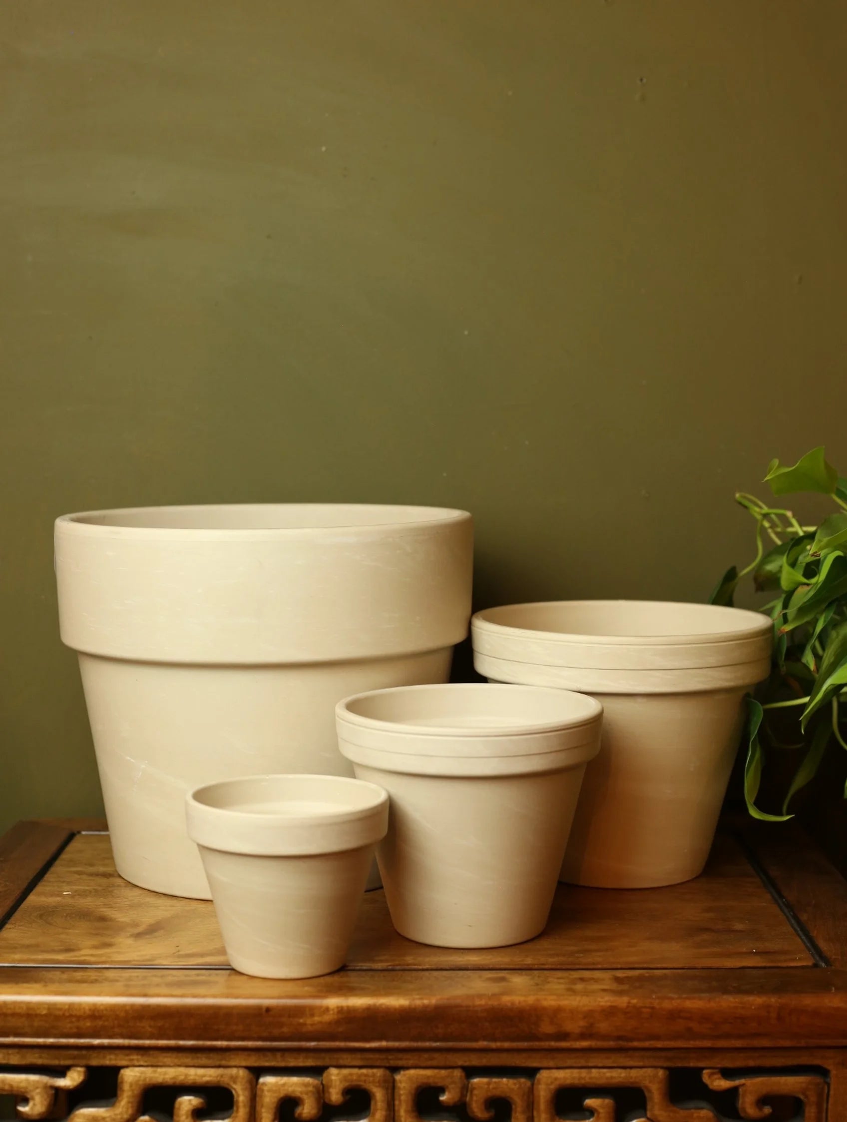 Cream Plant Pots