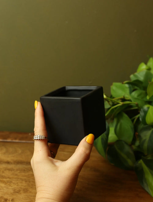 Black Square Plant Pot - 3 sizes
