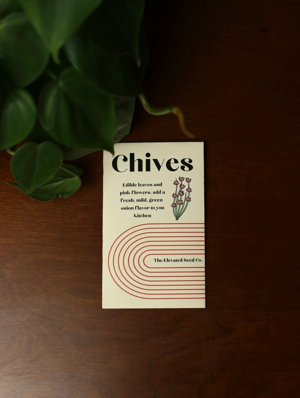 Chive Garden Seeds