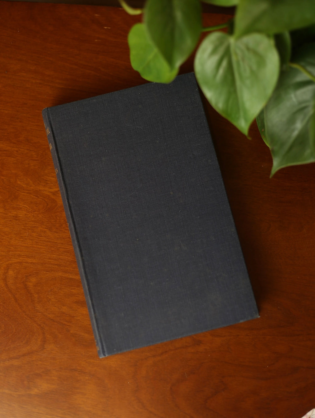 From Elizabeth I to Victoria by Brynmor Pierce Jones