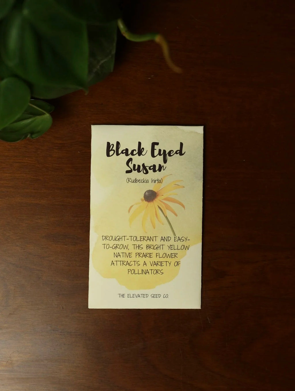 Black Eyed Susan Flower Seeds