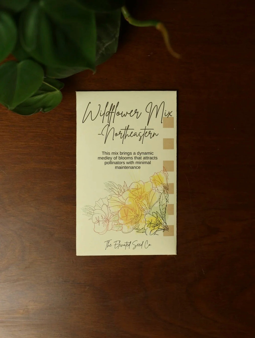 Wildflower Garden Seed Mix- Northeastern