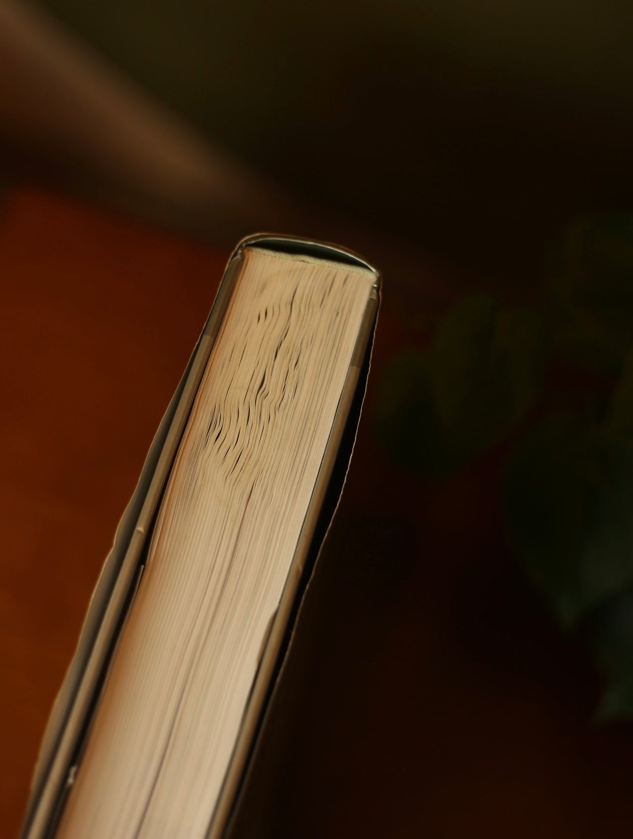 Miller's Antiques Encyclopedia by Judith Miller