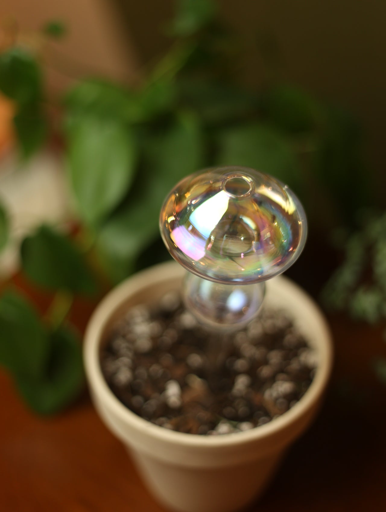 Iridescent Mushroom Plant Watering Globe